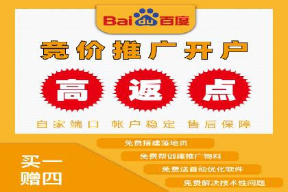 SEM服务公司助力企业国际化案例